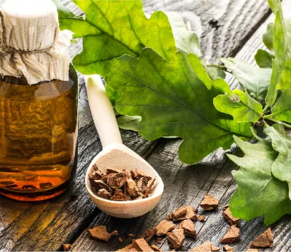 Use of Plants for Health