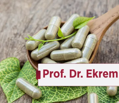 Bitkilerin Sağlık İçin Kullanımları